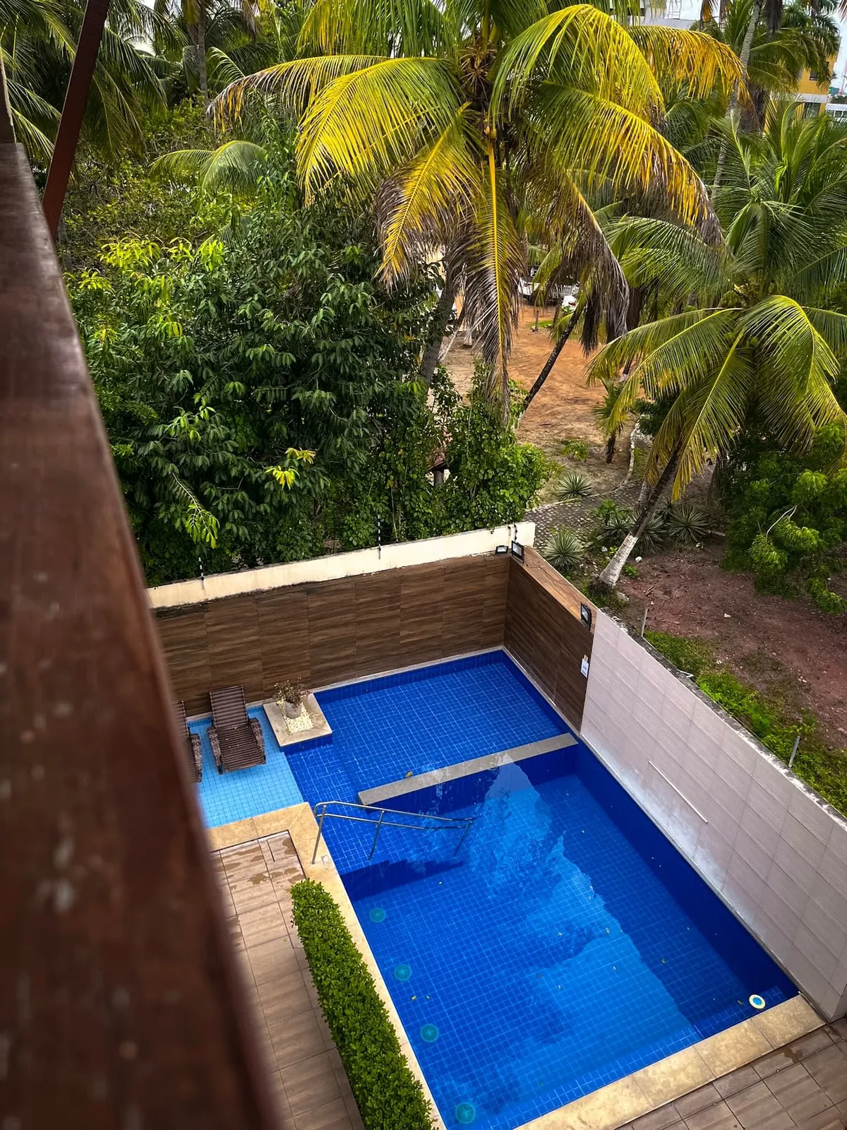 A piscina vista do alto, entre os coqueiros