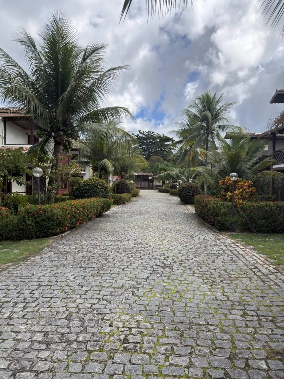 A rua do condomínio, entre jardins e coqueiros